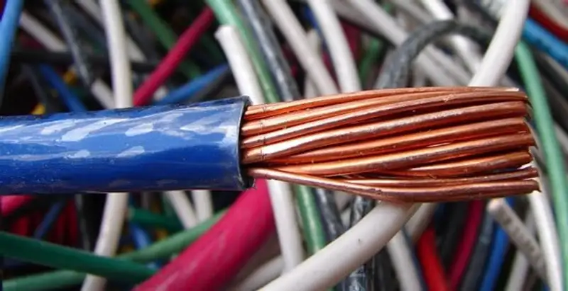 electrical wiring services showing exposed copper conductors and cable preparation in Lakeland, FL